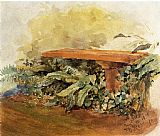 Ferns Canvas Paintings - Garden Bench with Ferns